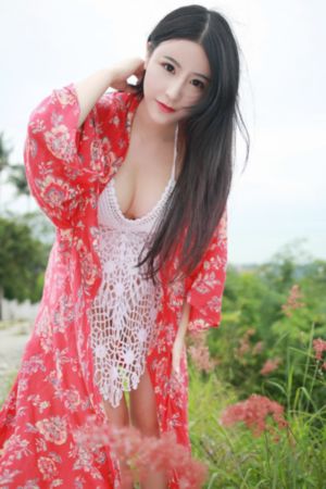 红楼梦2010版